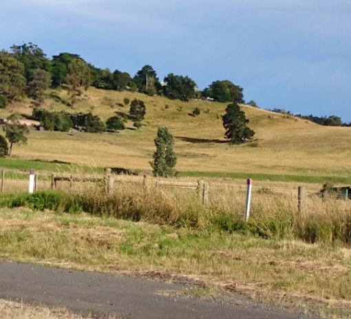 Mount Wise, Yarra Glen (property)